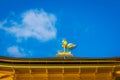 Kinkakuji Temple The Golden Pavilion in Kyoto, Japan. Royalty Free Stock Photo