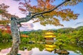 Kinkakuji Temple in Kyoto, Japan in Autumn