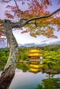 Kinkakuji Temple in Kyoto, Japan in Autumn