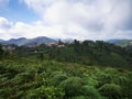 Kinnakorai Mountain valley in day time,Tamilnadu, India. Royalty Free Stock Photo