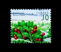 Kinnikinnick (Arctostaphylos uva-ursi), Definitives 1991-96: Edible Berries serie, circa 1992