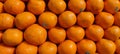 Kinnow Orange Fruits Royalty Free Stock Photo