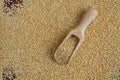 Kinoa seeds in wooden spoon on wooden table Royalty Free Stock Photo