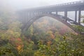 Kinoeneo bridge with colorful autumn