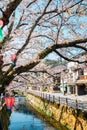 Kinosaki Onsen village with spring cherry blossoms in Hyogo, Japan