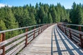Kinsol Trestle Old Bridge, Canada Royalty Free Stock Photo