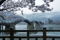 Kintai Kyo bridge on rainy day, Iwakumi Hiroshima, japan Royalty Free Stock Photo