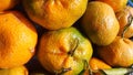 Kintamani Orange