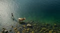 Kintsugi-inspired Aerial Photography: Capturing The Calm Lake With A Cow