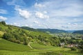 The Kinzig Valley with vineyards in Gengenbach Royalty Free Stock Photo