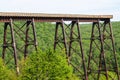 Kinzua Bridge State Park Royalty Free Stock Photo