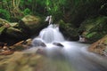 Kipungit waterfall in Poring Hot Spring, Kinabalu National Park. Royalty Free Stock Photo