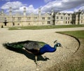 Kirby hall northamptonshire Royalty Free Stock Photo