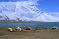 Kirgiz yurt on the shore of the Karakul lake in Karakorum highway, Xinjiang, China Royalty Free Stock Photo