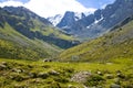 Kirgizstan - mountain and horses