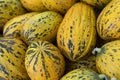 Kirkagac melon in a bazaar. Kirkagac is a popular melon type in Turkey Royalty Free Stock Photo