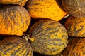 Kirkagac melon in a bazaar. Kirkagac is a popular melon type in Turkey Royalty Free Stock Photo