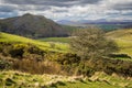 The coast to coast path leading from the summit of Nine Standards Rigg to Kirkby stephen