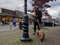 Woman walking her dog and checking her cell phone while walking around downtown Kirkland