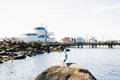 Kirkland, Washington, USA. February 2020. The waterfront of lake Washington in clear weather. A Seagull sits on a rock against the