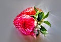 3D-Illustration Kirlian glow on strawberries with leaves on a plate in a glas bowl. Isolated on a white background