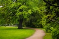 Kirov central park with old oak and curved road