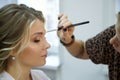 Kirov, Russia - August 28, 2020: Stylist or make up artist making makeup for beautiful bride on the wedding day