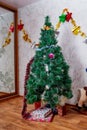 Kirov, Russia - December 17, 2018: Beautiful Christmas tree in living room decorated for Christmas. Place for photoshoot Royalty Free Stock Photo