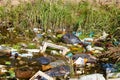 Kirov, Russia - September 04, 2018: Garbage in forest. People illegally thrown garbage into forest. Concept of man and nature.