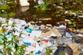 Kirov, Russia - September 04, 2018: Garbage in forest. People illegally thrown garbage into forest. Concept of man and nature.