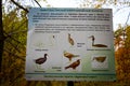 Kirov, Russia - September 20, 2021: A poster in the park with drawings of wild birds and their names. Information plate