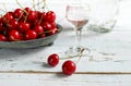 Kirsch or Kirschwasser in a glass and fresh cherry Royalty Free Stock Photo