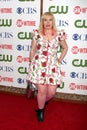 Kirsten Vangsness Royalty Free Stock Photo