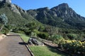 Kirstenbosch Royalty Free Stock Photo