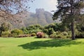 Kirstenbosch Botanical Garden Royalty Free Stock Photo