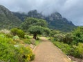Kirstenbosch Botanical gardens in Cape Town, South Africa