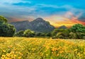 Kirstenbosch National Botanical Garden twilight in Cape Town South Africa Royalty Free Stock Photo