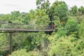 Kirstenbosch Tree Canopy Walkway, the Boomslang