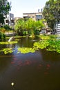 Kiryat Sefer Park in Tel Aviv Royalty Free Stock Photo