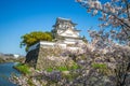Kishiwada Castle in Kishiwada city, Osaka, Japan Royalty Free Stock Photo