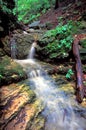 Kishwaukee Gorge Waterfall Illinois