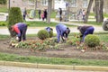 Kislovodsk. Work of workers engage in planting flower Royalty Free Stock Photo