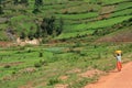 Kisoro - Uganda, Africa Royalty Free Stock Photo