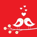 Kiss of birds - romantic card for Valentine`s day