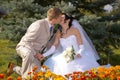 Kiss of bride and groom Royalty Free Stock Photo