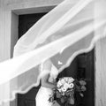 The kiss. Bride and groom kisses tenderly in the shadow of a flying veil. Artistic black and white wedding photo. Royalty Free Stock Photo