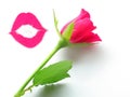 Kiss and a rose Royalty Free Stock Photo
