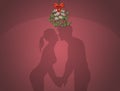 Kiss under the mistletoe on New Year`s Eve