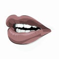 Kissable lips clipart. Royalty Free Stock Photo