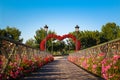 The Kisses Bridge in Comana, Giurgiu, Romania, with locks and colored flowers. Royalty Free Stock Photo